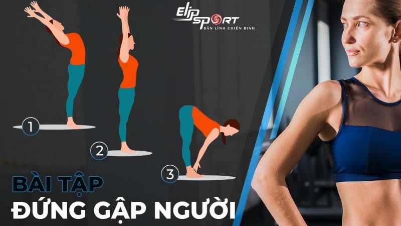 bài tập giãn cơ lưng