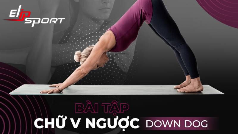 bài tập giãn cơ lưng