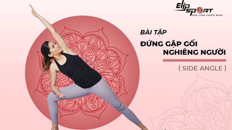 bài tập giãn cơ lưng