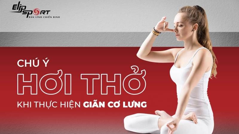 bài tập giãn cơ lưng