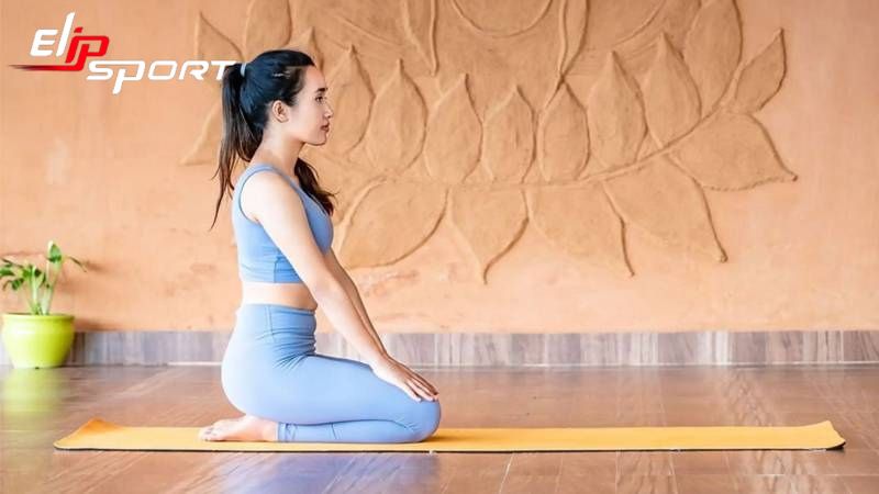 bài tập giãn cơ lưng