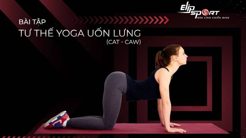 bài tập giãn cơ lưng