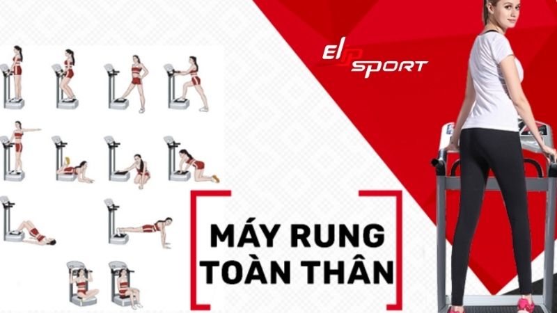 Máy rung bụng đứng giúp đánh tan mỡ thừa