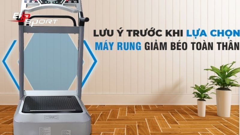 Chọn mua máy rung toàn thân từ các nhãn hàng lớn