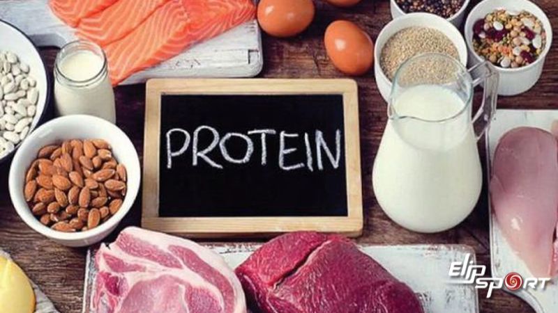 Calo từ protein rất có lợi trong việc duy trì và xây dựng cơ bắp