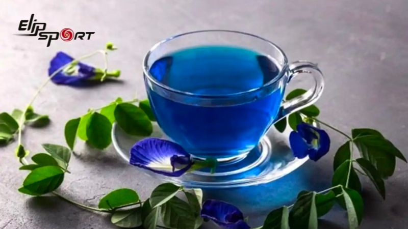 Cần lưu ý tình trạng sức khoẻ trước khi uống trà hoa đậu biếc