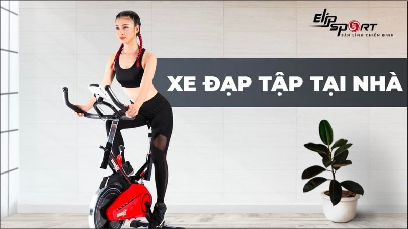 Xe đạp tập tại nhà ELIP thuận tiện luyện tập và tiết kiệm chi phí bảo trì