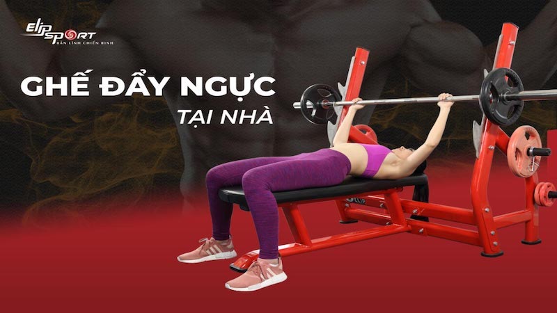 Ghế banh đẩy ngực ELIP hỗ trợ tăng kích thước của cơ ngực