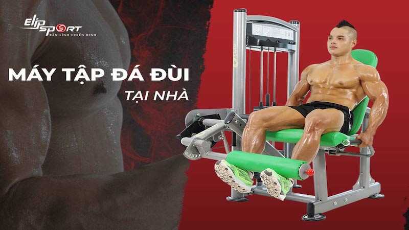 Máy tập đá đùi giúp săn chắc cơ đùi