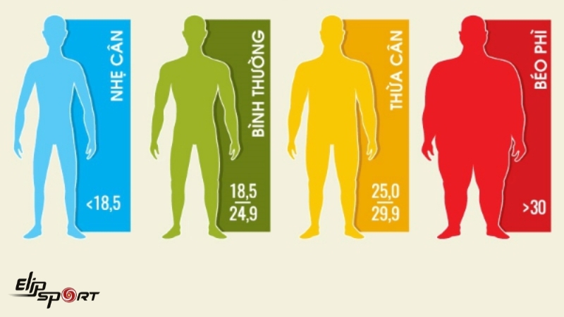 BMI là một phương pháp đo lường lượng mỡ trong cơ thể dựa trên chiều cao và cân nặng