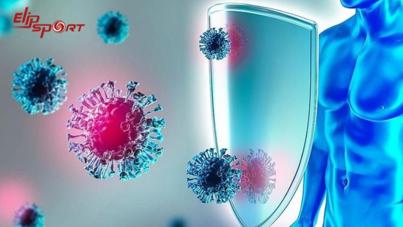 Tiêu thụ yến mạch đúng cách giúp tăng cường hệ miễn dịch và sức đề kháng