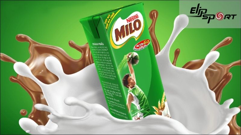 Thành phần có trong Milo - sữa milo có tăng cân không