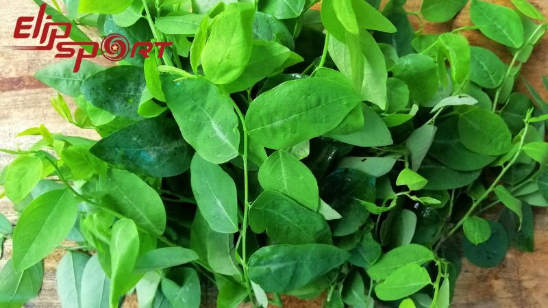 Trong 100g rau ngót sẽ có rất nhiều chất dinh dưỡng khác nhau