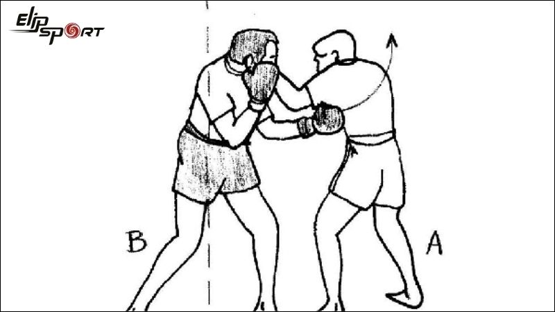 Kỹ thuật boxing tấn công cơ bản nhất