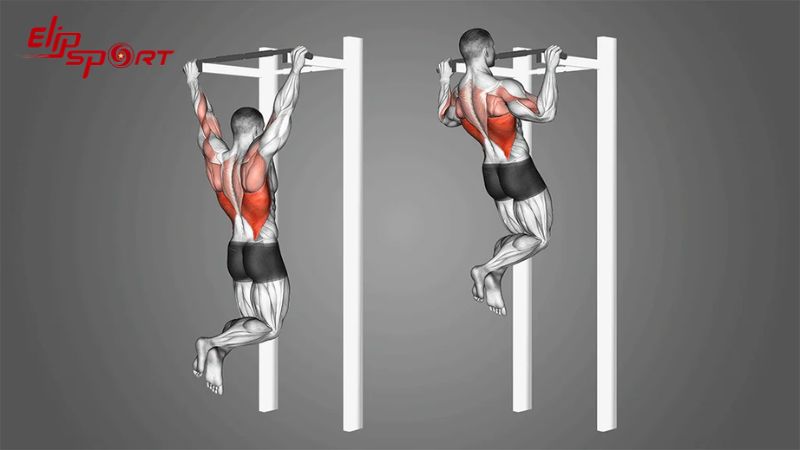 Bài tập xô - Pull-ups giúp tăng cường phát triển cơ lưng và cơ tay