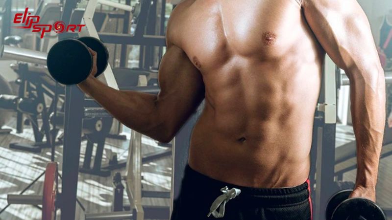 Lịch tập gym 6 ngày 1 tuần giúp tăng các khối cơ trên cơ thể