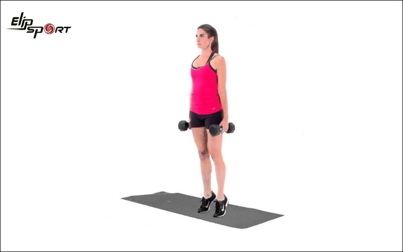 Dumbbell Calf Raise là bài tập hiệu quả giúp phát triển cơ bắp chân