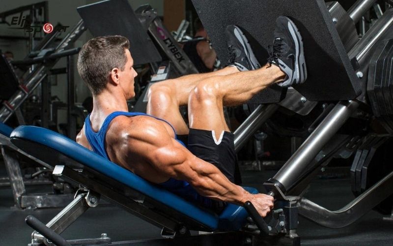 Leg Press là bài tập thể hình sử dụng máy tập chuyên dụng để tác động đến các nhóm cơ ở phần thân dưới