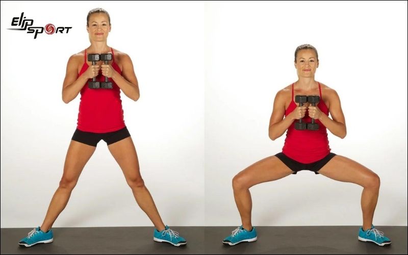 Dumbbell Sumo Squat là 1 biến thể của Squat cơ bản