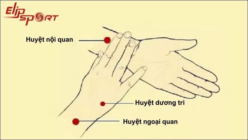 Vị trí huyệt dương trì, ngoại quan và nội quan trên tay