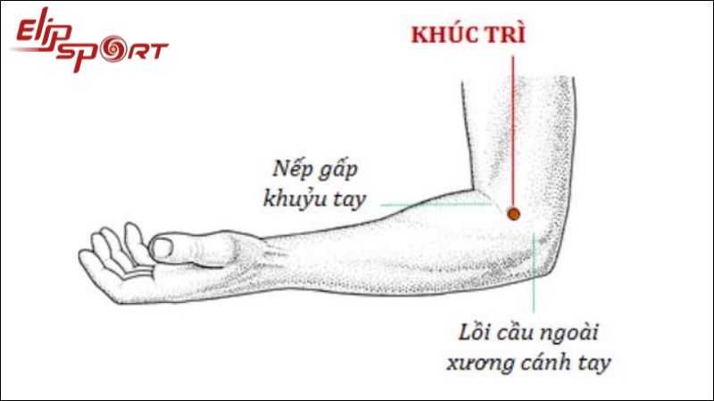 Vị trí huyệt khúc trì trên cánh tay