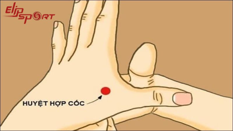 Bấm huyệt hợp cốc giúp giảm đau đầu, mệt mỏi