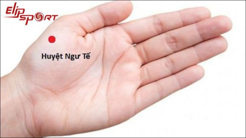 Vị trí huyệt ngư tế trên bàn tay