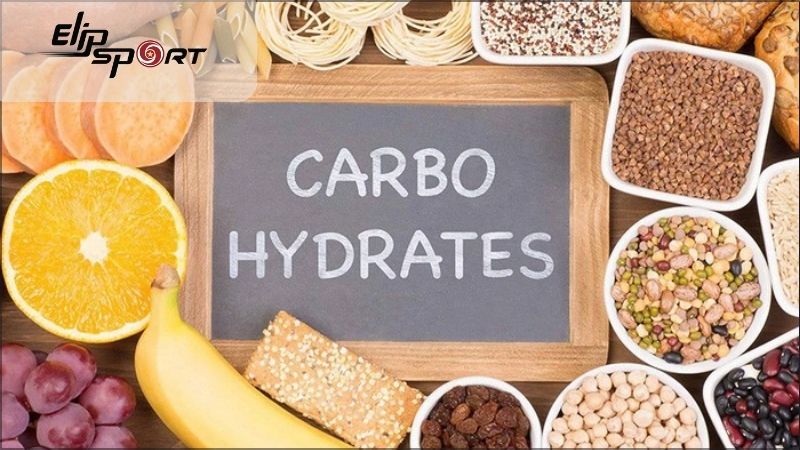 Carbohydrate là nguồn cung cấp năng lượng chủ yếu cho cơ thể