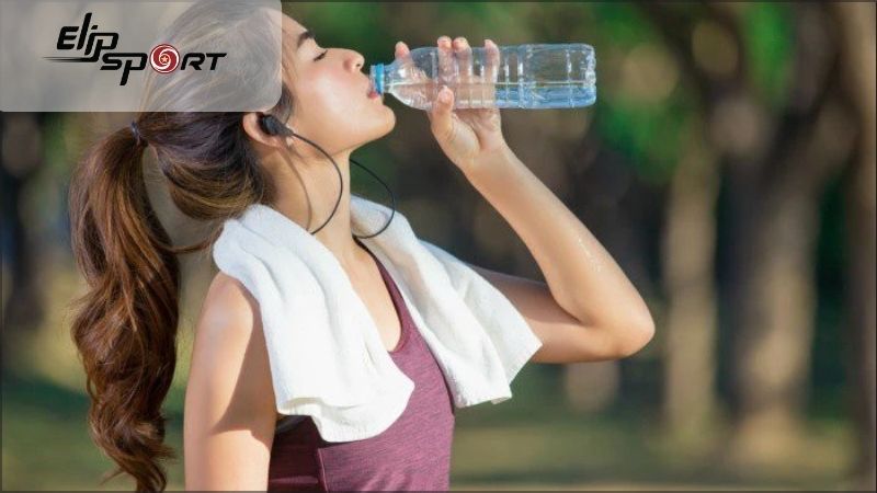 Việc uống nước đóng vai trò quan trọng đối với cơ thể, đồng thời hỗ trợ giải phóng mỡ thừa