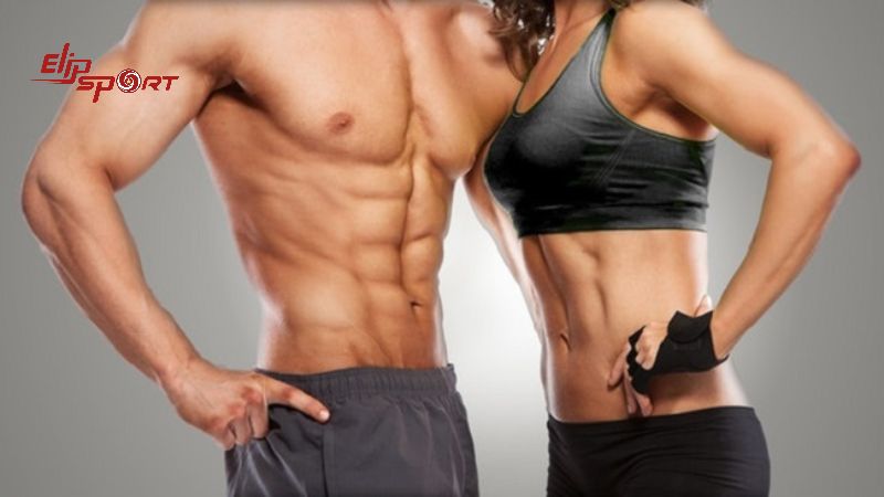 Abs trong gym là gì? Những bài tập Abs đơn giản để có cơ bụng - ảnh 1
