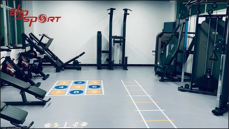 Tập gym chính là một hình thức vận động, rèn luyện cơ thể tại phòng tập