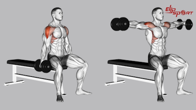 Bài tập Bent-Over Rear Deltoid Raise mang lại hiệu quả cực cao trong việc phát triển toàn diện cơ vai