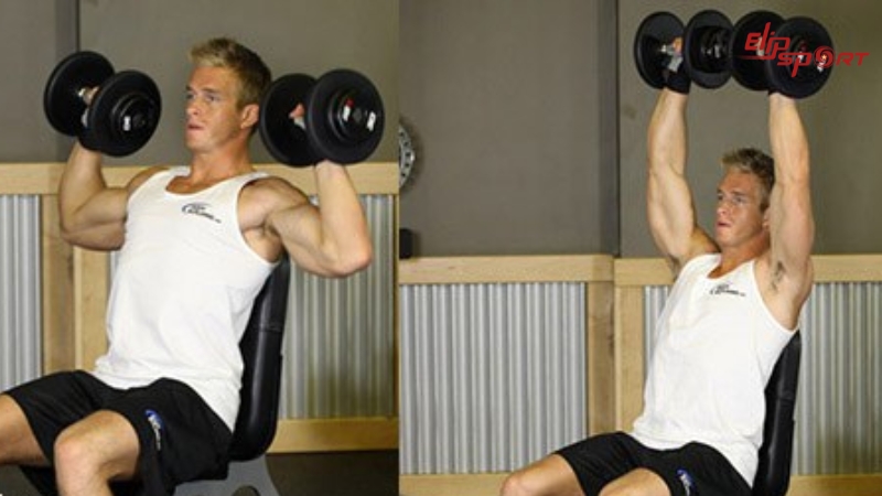 Back Supported Palms-In Shoulder Press là bài tập giúp tác động trực tiếp vào cơ vai và cơ tay sau