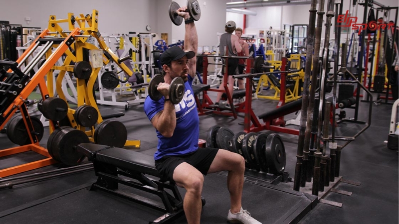 Seated Palms-In Alternated Shoulder Press được đánh giá cao bởi các chuyên gia