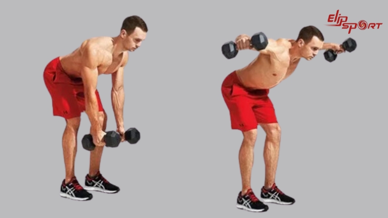 Luyện tập Bent-Over One-Arm Deltoid mang lại hiệu quả cao, giúp bạn tăng cường sức mạnh