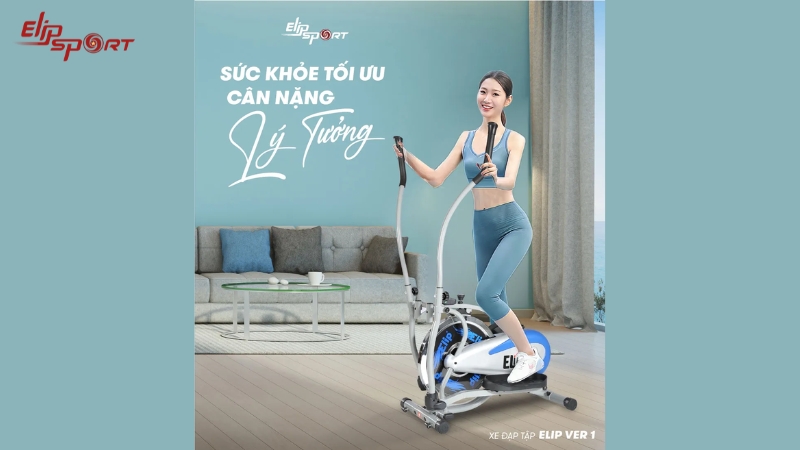 Sự ưu tiên nên được đặt vào việc chọn những chiếc xe đạp được làm từ chất liệu thép không gỉ