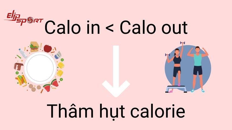 Lượng calo ra là tổng năng lượng mà cơ thể sử dụng cho các hoạt động như vận động, hô hấp, suy nghĩ và tiêu hóa