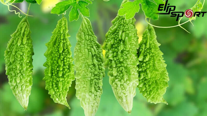 Khổ qua là loại quả thuộc họ bầu bí