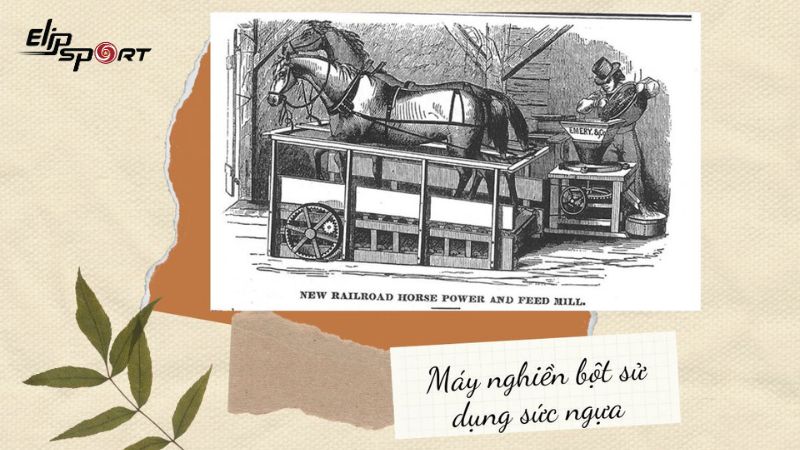 cần cẩu Polyspaston - Tiền thân của máy chạy bộ ngày nay