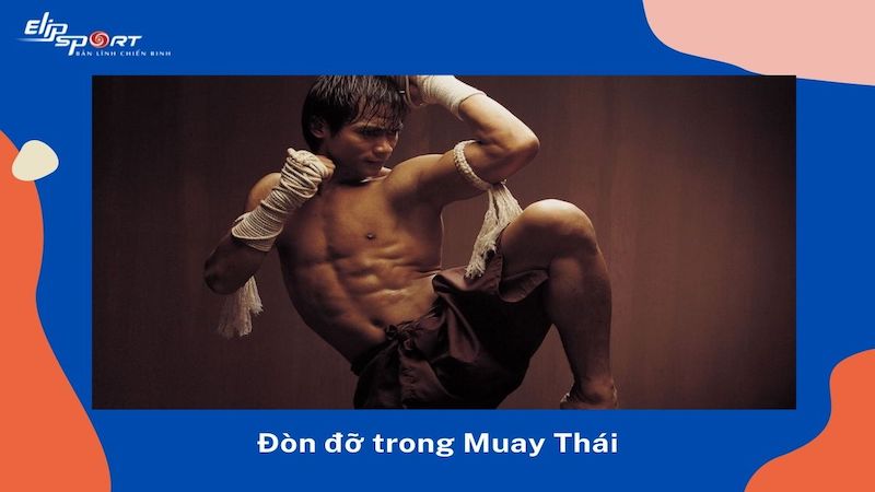 Đòn đỡ trong Muay Thái