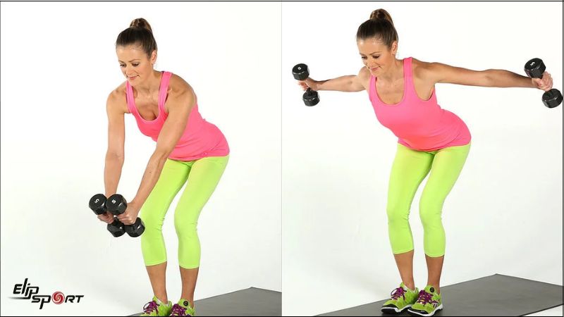 Bent Over Fly and Row
