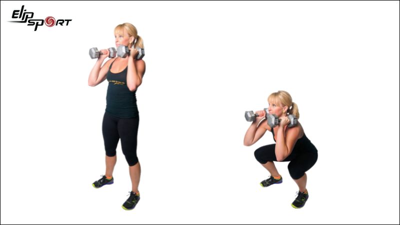 Bài tập Dumbbell Front Squat