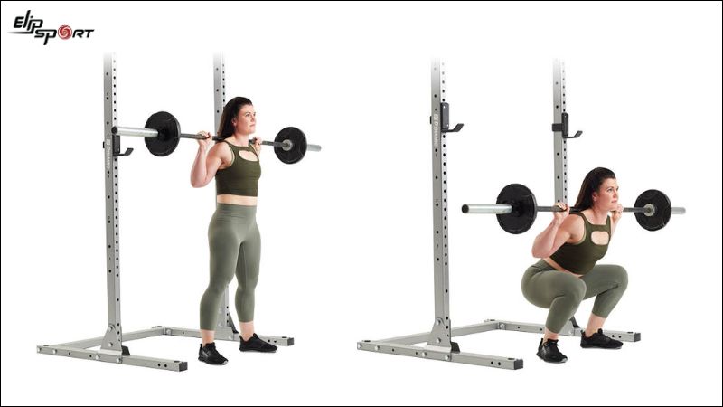 Bài tập Barbell Squat