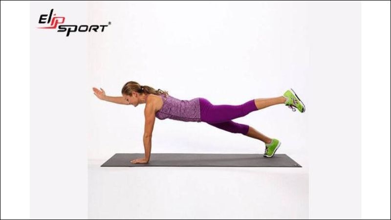 bài tập plank giảm mỡ bụng cho nữ