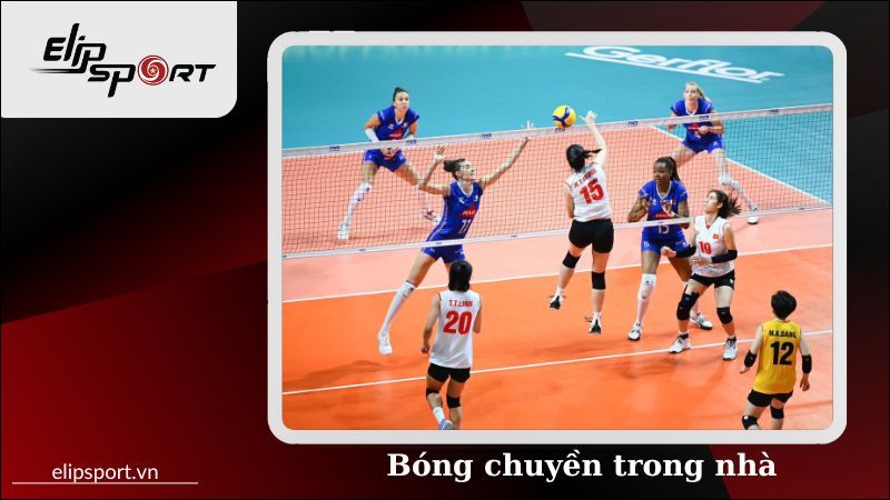 Cuộc thi đấu bóng chuyền trong nhà