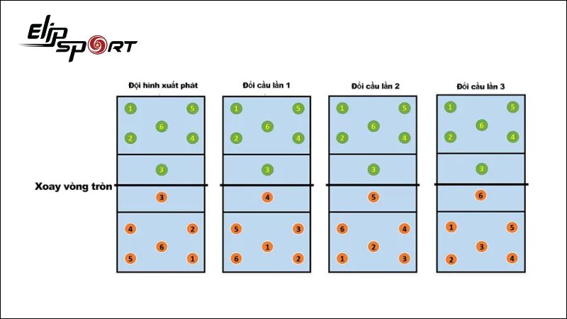 Các đội hình thay đổi vị trí trong bóng chuyền