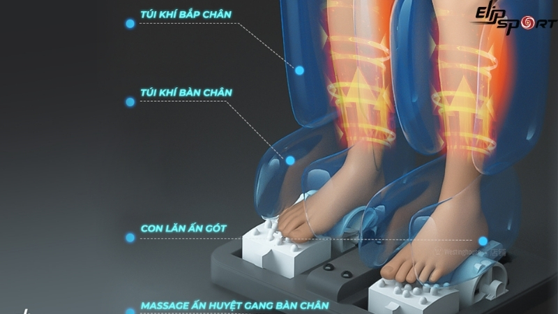 tăng cường hệ tuần hoàn máu