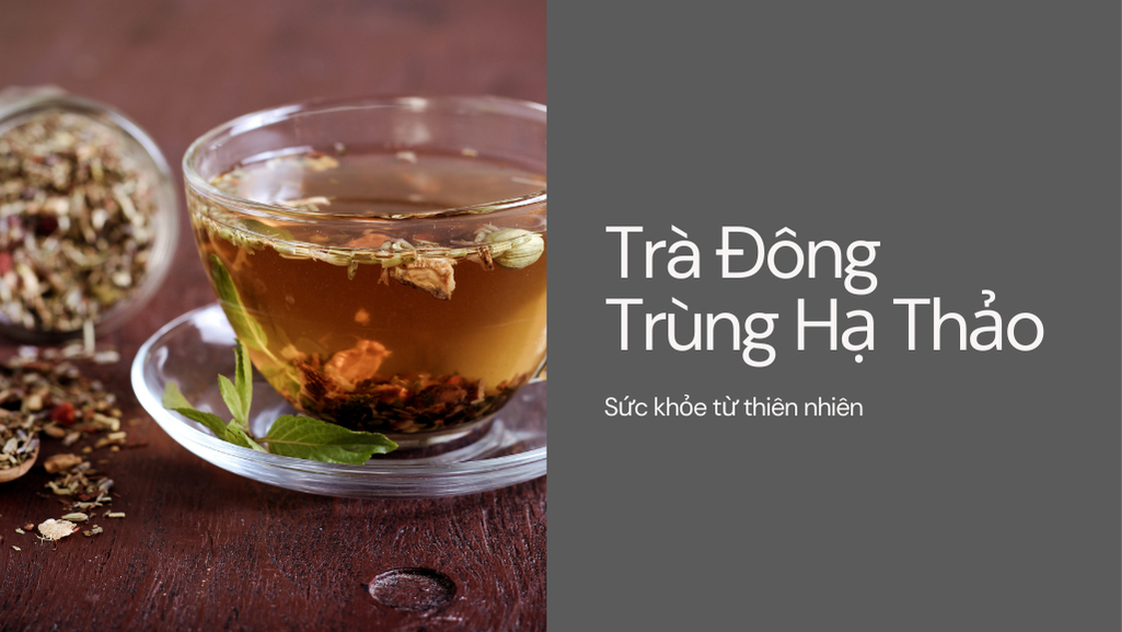 Trà đông trùng hạ thảo khô