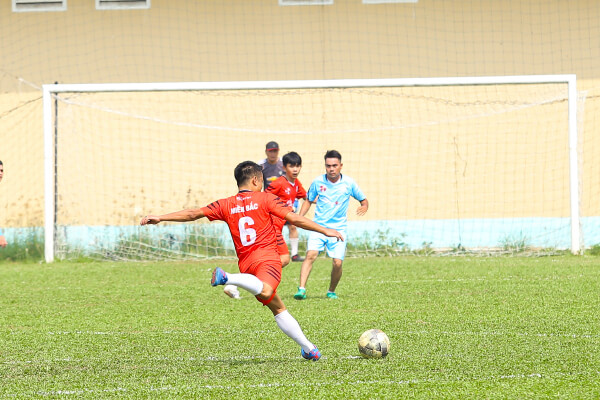 Bản tin số 6