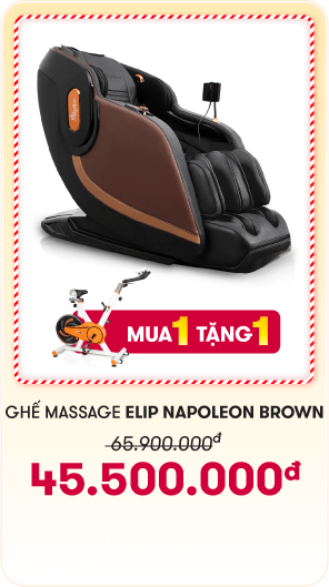 Ghế Massage ELIP Napoleon Brown